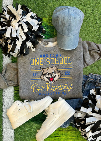 One Town one Family Custom Spirit Sweatshirt (SPIRIT1205-DTF-SS)