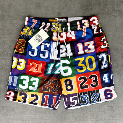 Hall of Fame -- Basketball Shorts