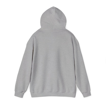 United by Baseball Hoodie | patriotic baseball graphic, vintage ballpark aesthetic